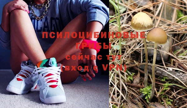 не бодяженный Пересвет
