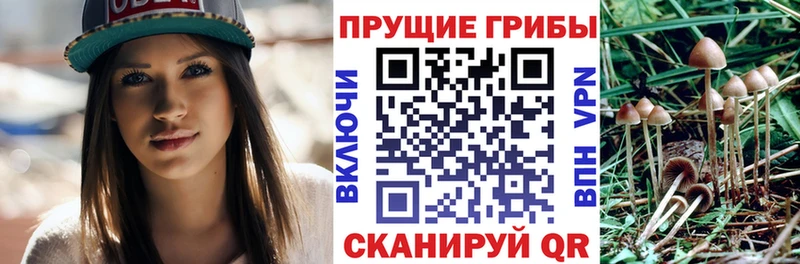 гидра онион Бутурлиновка Галлюциногенные грибы ЛСД